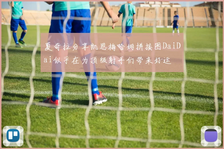 夏奇拉分享凯恩梅哈姆拼接图DaiDai似乎在为顶级射手们带来好运